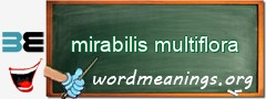 WordMeaning blackboard for mirabilis multiflora